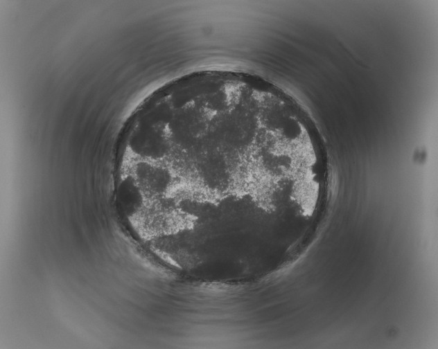 X0000111870829200909031814