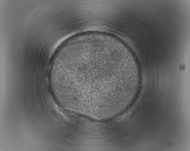 X0000111870830200909031814