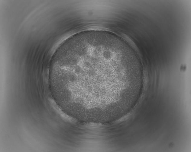 X0000111870831200909031814