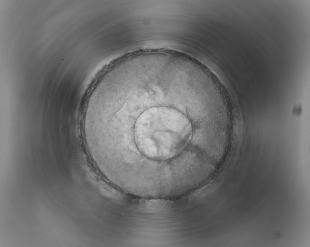 X0000111870832200909031814