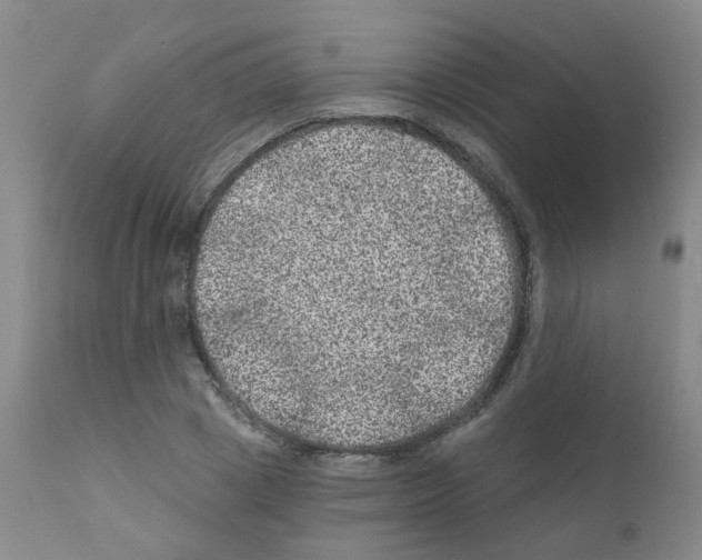 X0000111870833200909031814