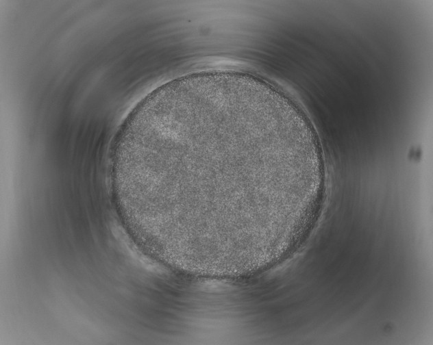 X0000111870835200909031814