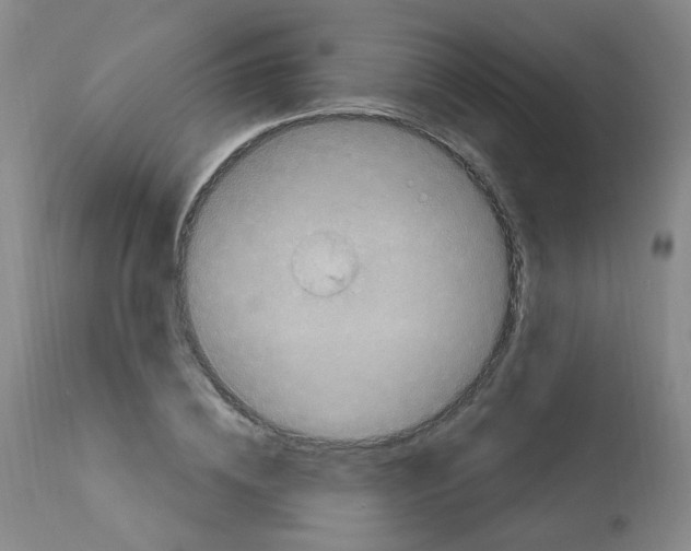 X0000111870836200909031814