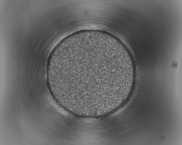 X0000111870837200909031814