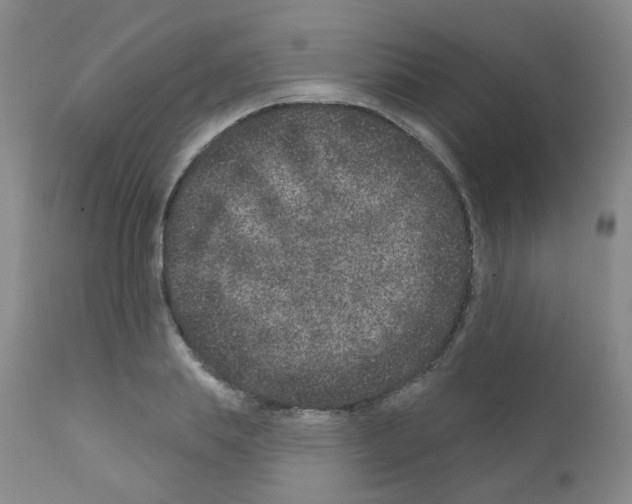 X0000111870839200909031814