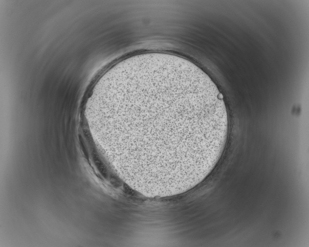 X0000111870840200909031814