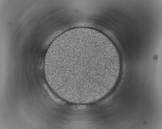 X0000111870841200909031814