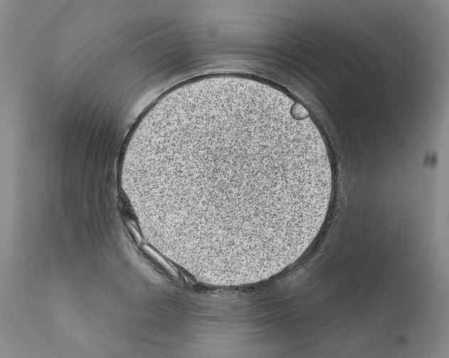 X0000111870842200909031814