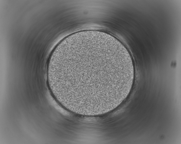 X0000111870843200909031814