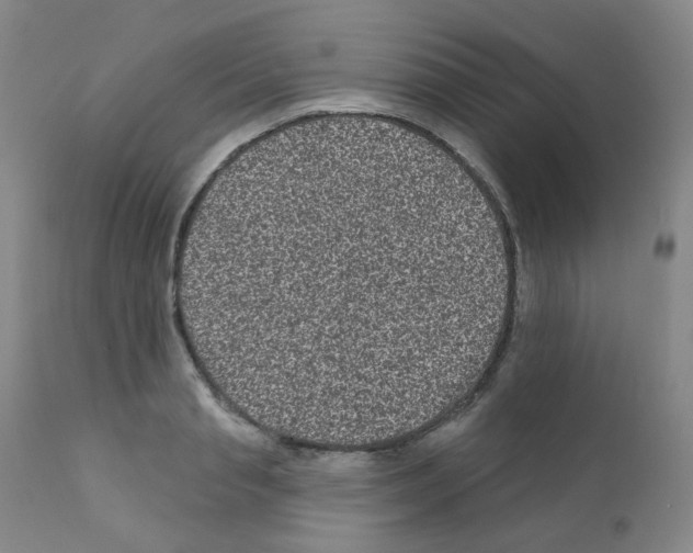 X0000111870845200909031814