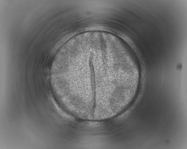 X0000111870849200909031814