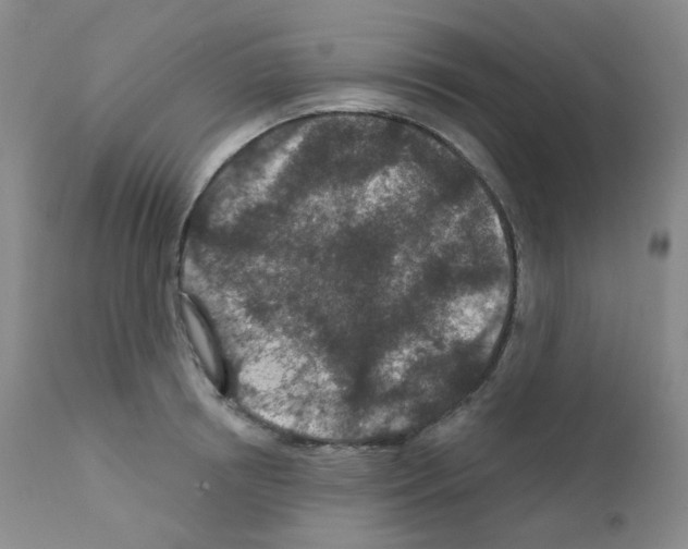 X0000111870850200909031814