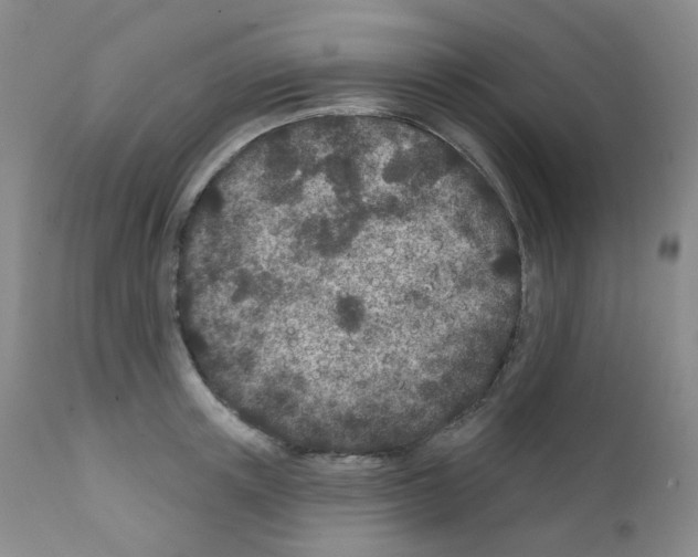 X0000111870851200909031814