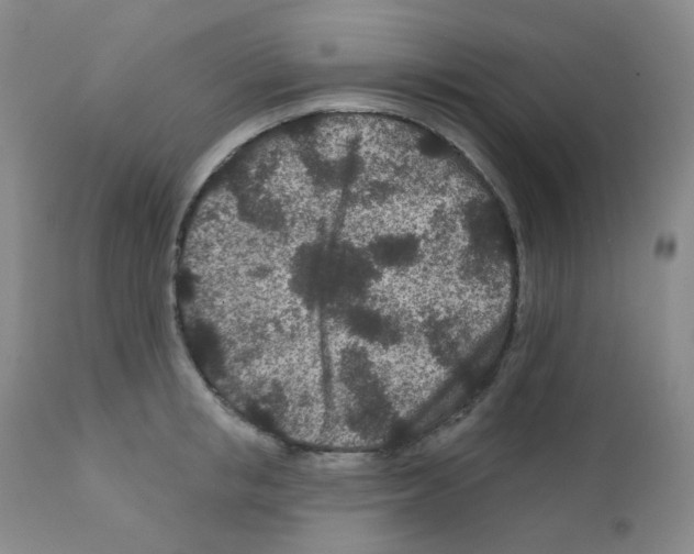 X0000111870853200909031814