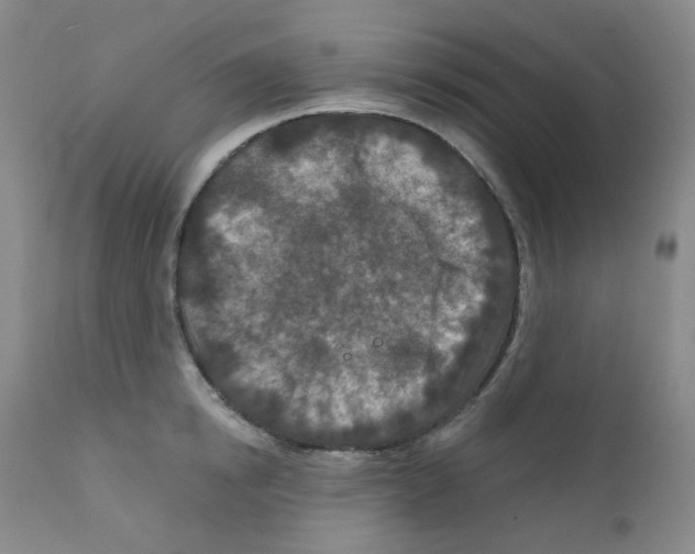 X0000111870854200909031814