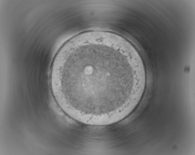 X0000111870856200909031814