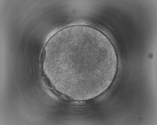 X0000111870858200909031814