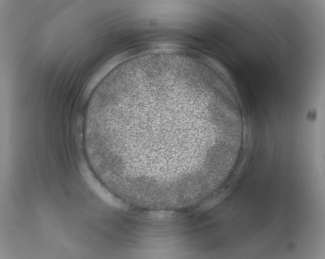 X0000111870859200909031814