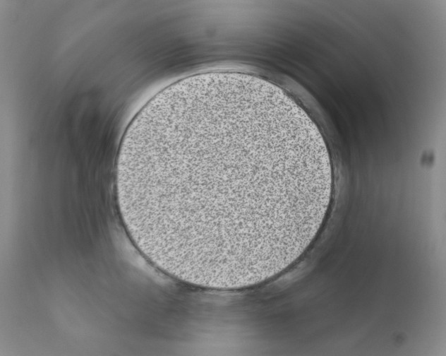 X0000111870860200909031814