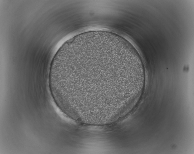 X0000111870861200909031814