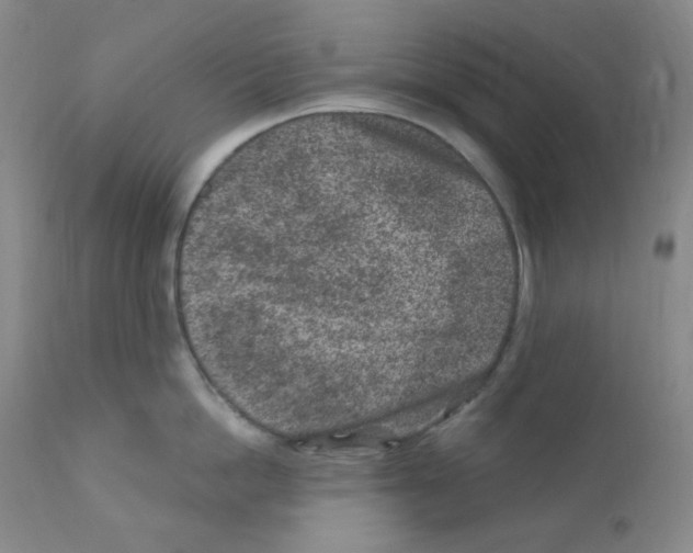 X0000111870862200909031814