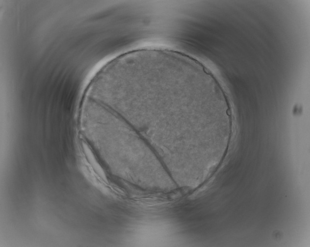 X0000111870864200909031814