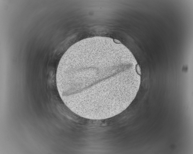 X0000111870866200909031813