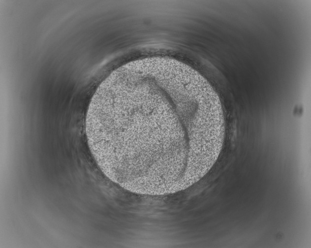 X0000111870870200909031813