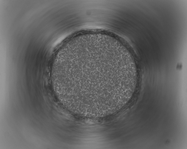 X0000111870871200909031813