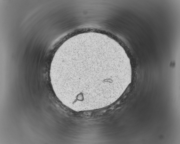 X0000111870872200909031813