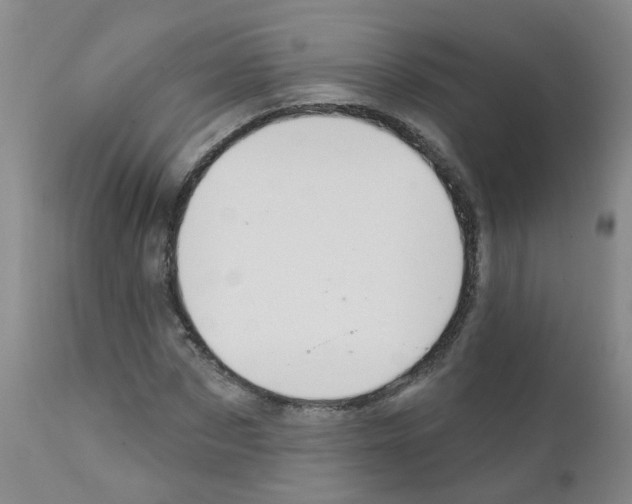 X0000111870873200909031813