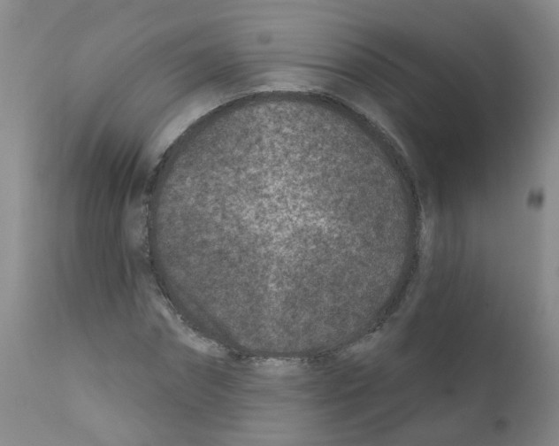 X0000111870874200909031813