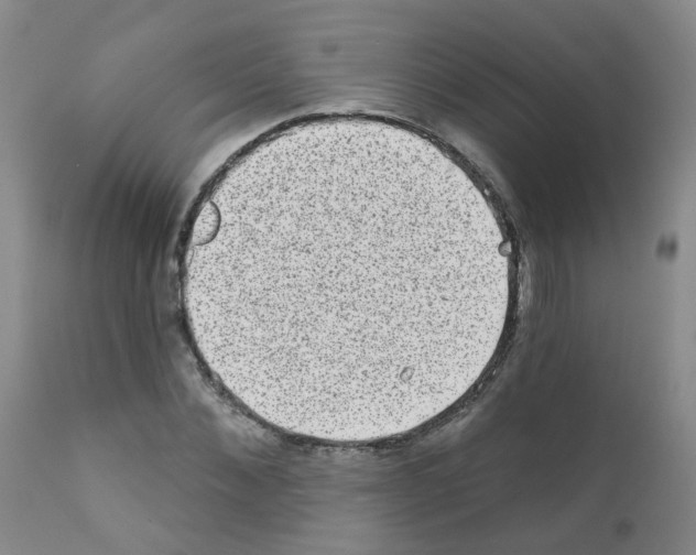 X0000111870876200909031813