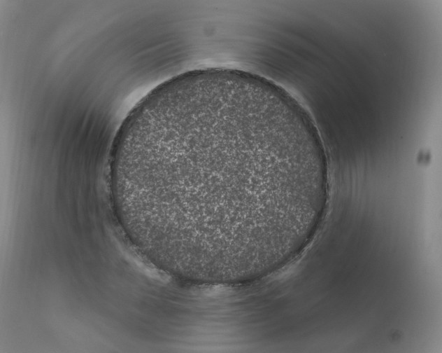 X0000111870879200909031813