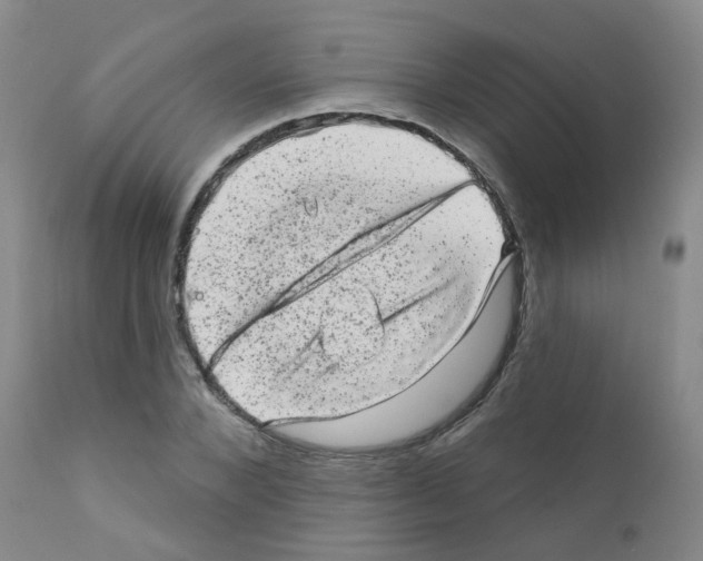 X0000111870880200909031813