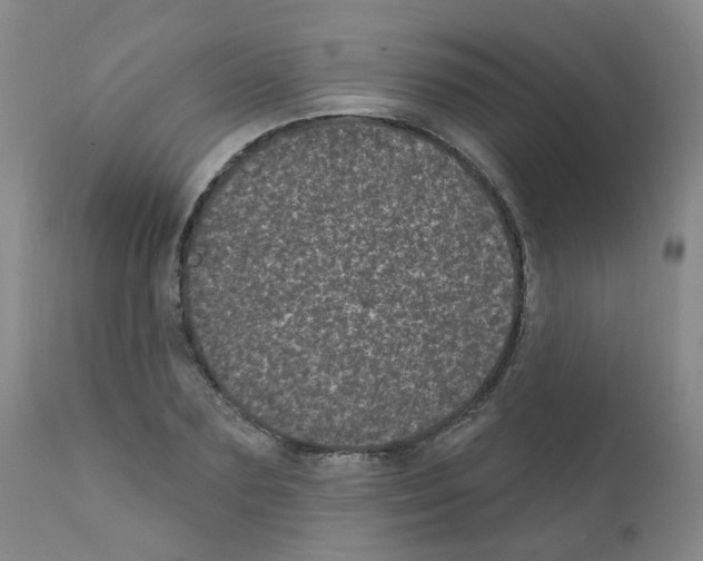 X0000111870883200909031813