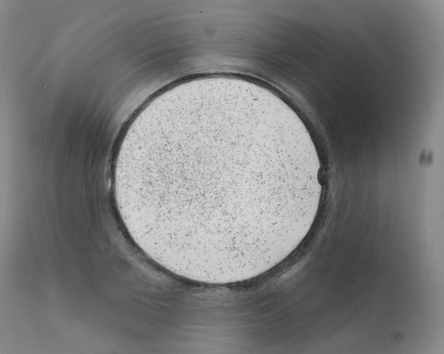 X0000111870885200909031813