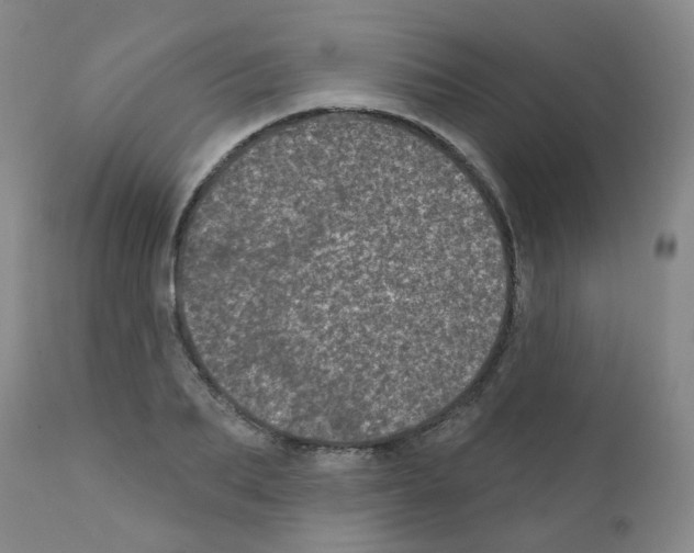 X0000111870887200909031813