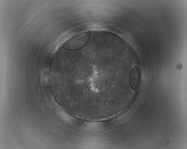 X0000111870889200909031813