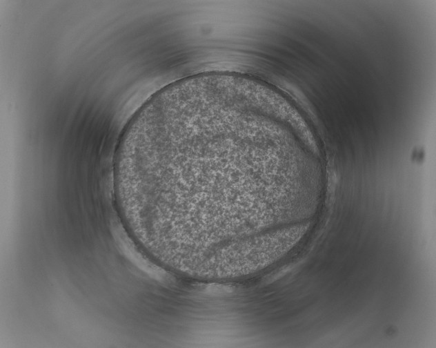 X0000111870890200909031813