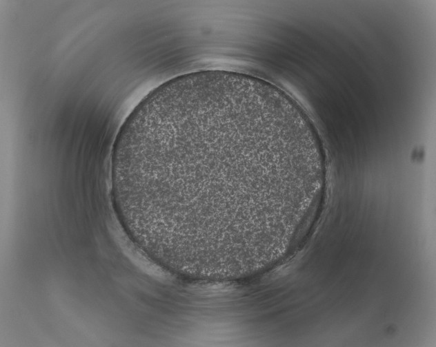 X0000111870891200909031813