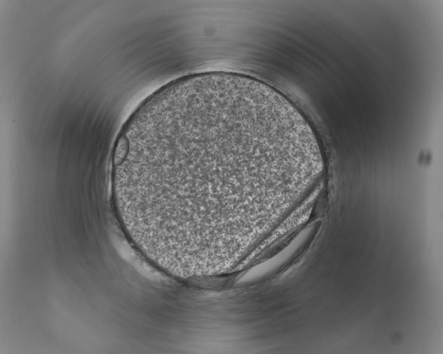 X0000111870892200909031813