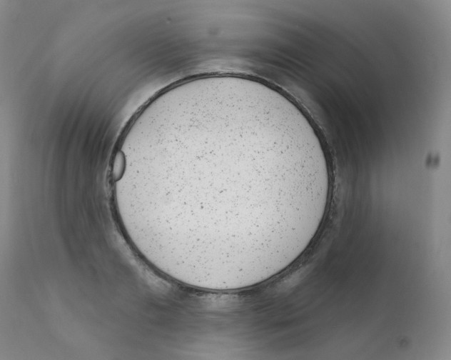 X0000111870893200909031813