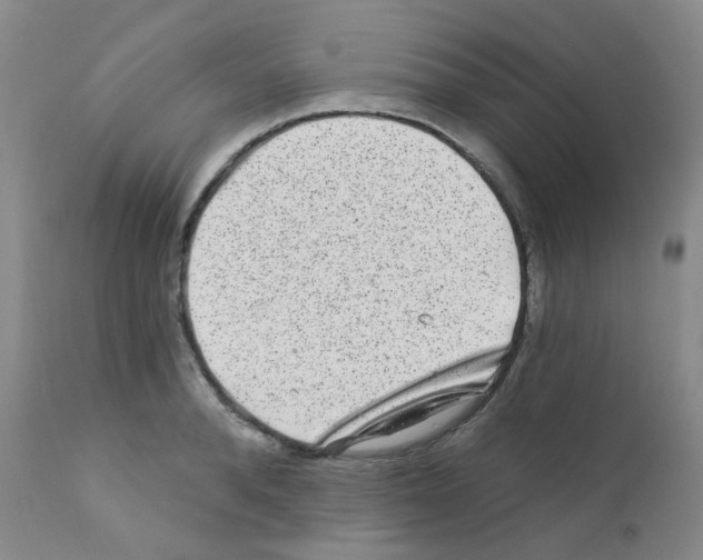 X0000111870896200909031813