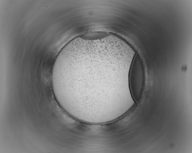 X0000111870897200909031813