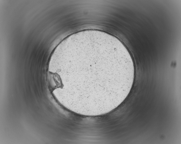 X0000111870898200909031813