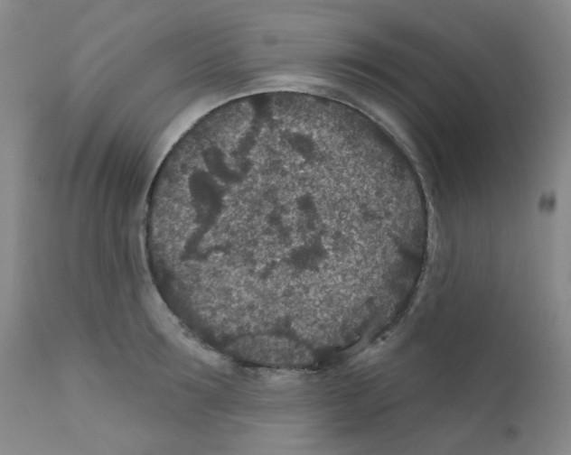 X0000111870899200909031813