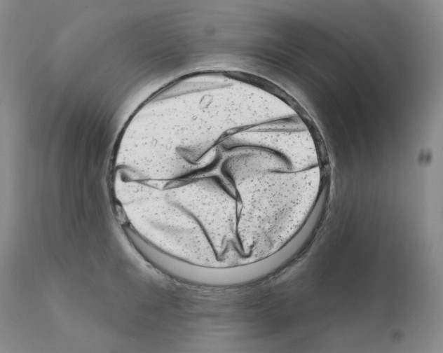 X0000111870901200909031813