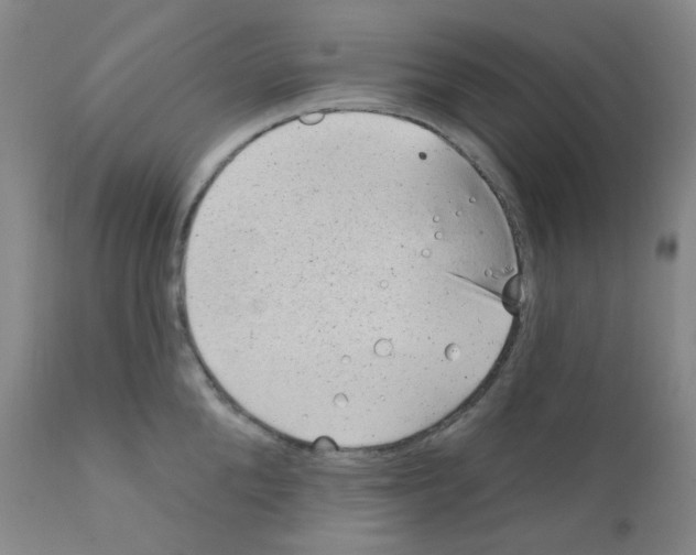 X0000111870904200909031813