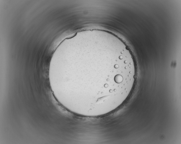 X0000111870905200909031813